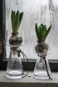 Sipulimaljakko Ø 8 cm, korkeus 15 cm kuplivaa lasia.