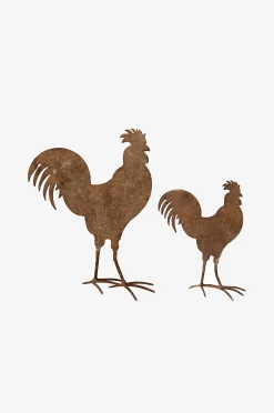 S/2 Rooster