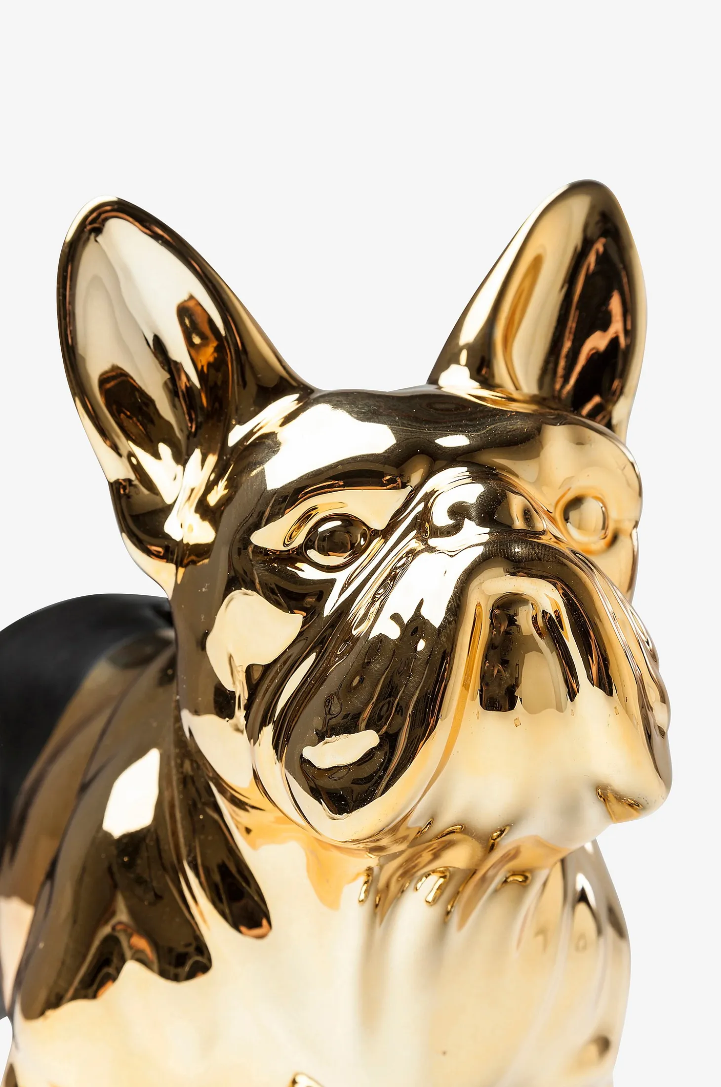 Säästölipas Bulldog