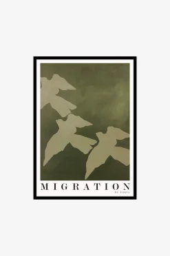TauluMigration, Musta kehys