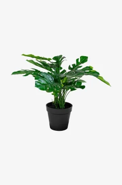 Tekokasvi Monstera. Kasvi PE-muovia. Ø 40 cm.