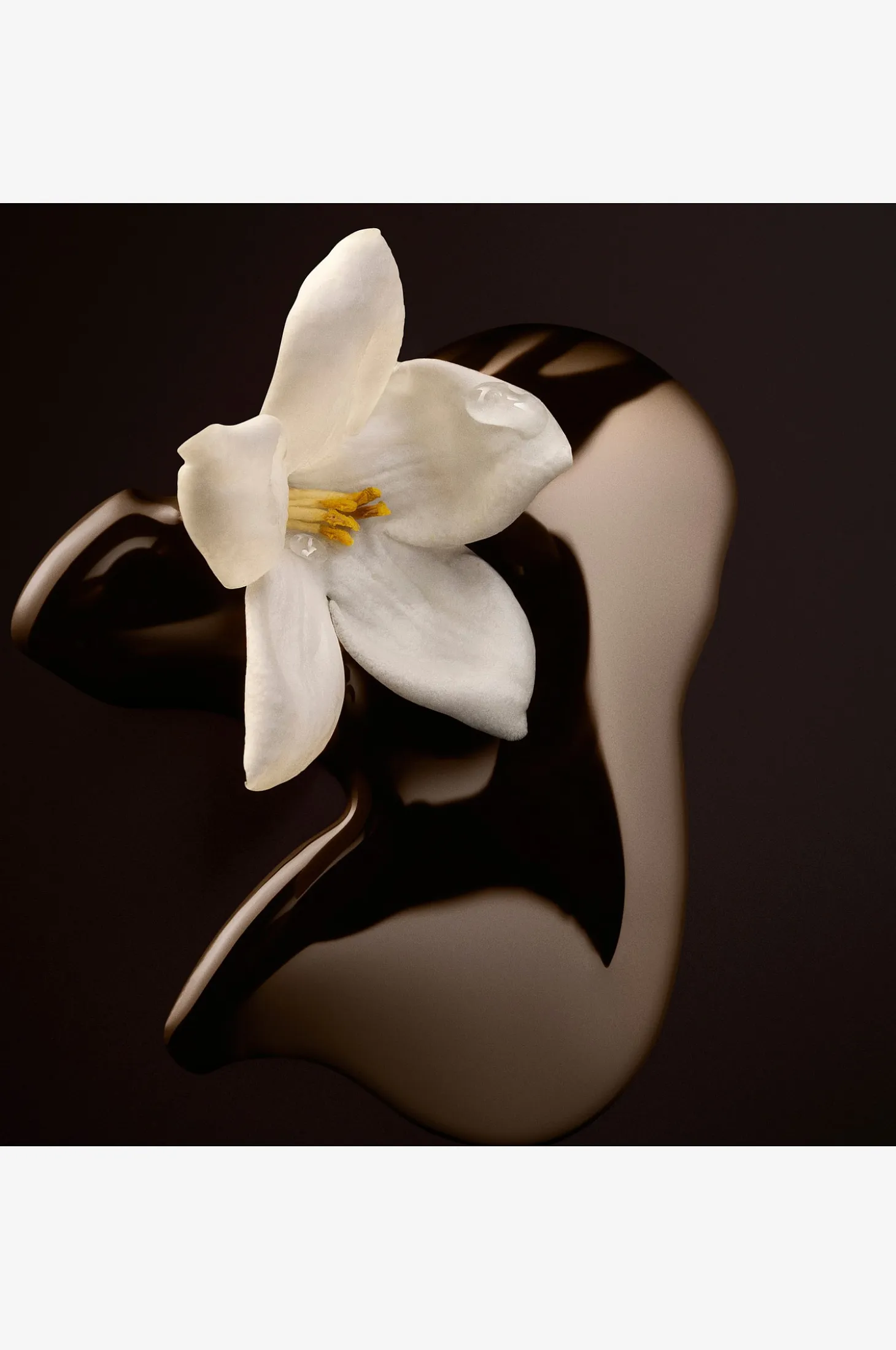 The Scent For Her Magnetic Edp
