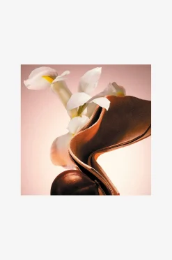 The Scent Le Parfum Edp 50 ml