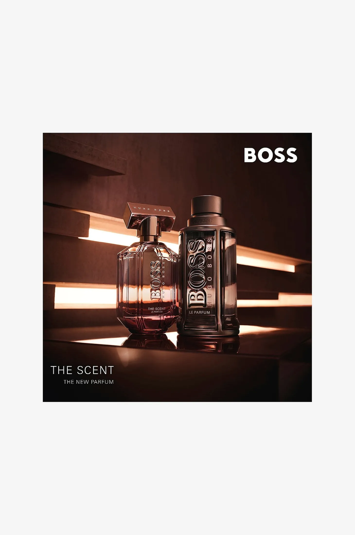 The Scent Le Parfum Edp 50 ml