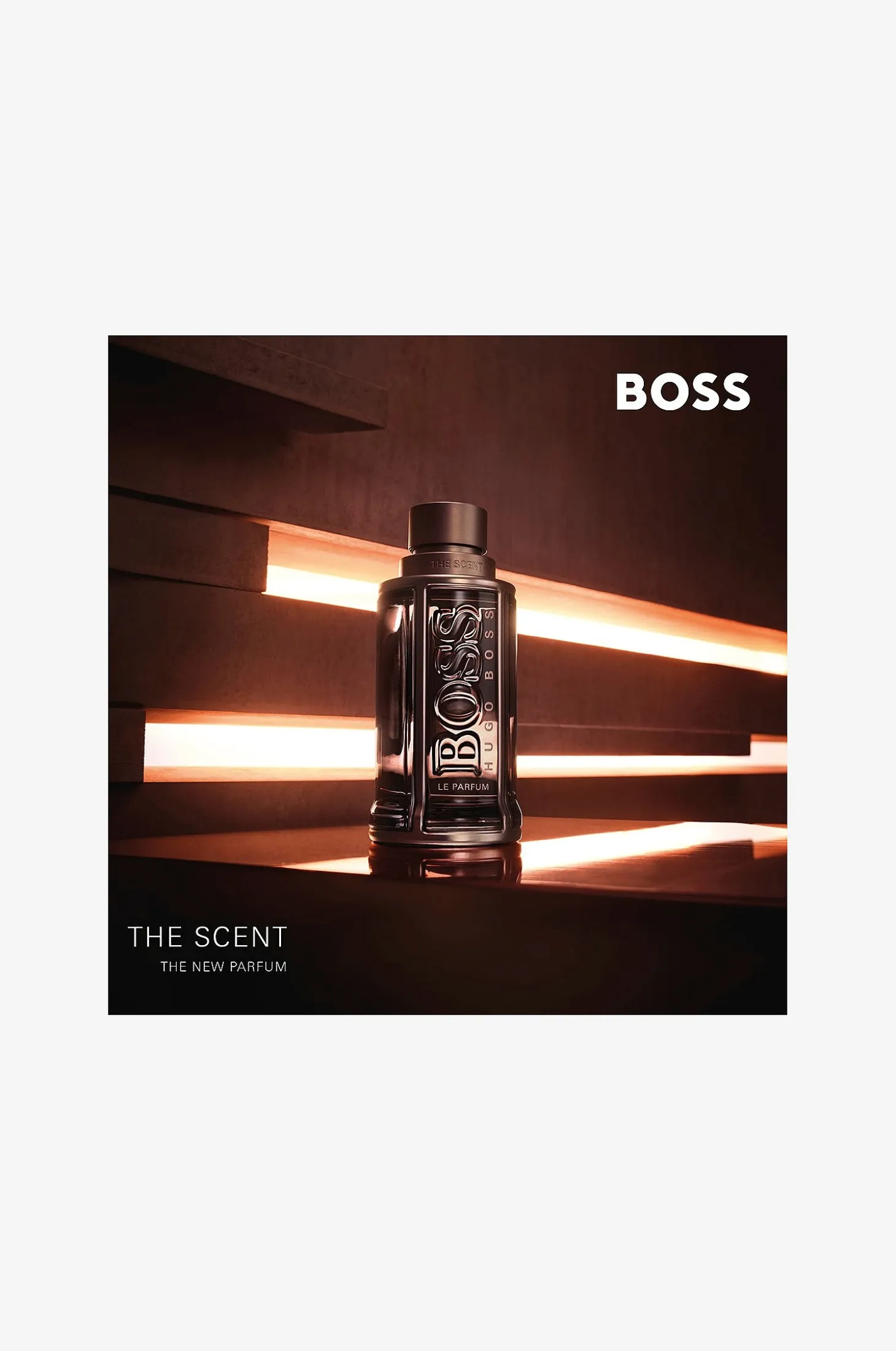 The Scent Le Parfum Edp 100 ml