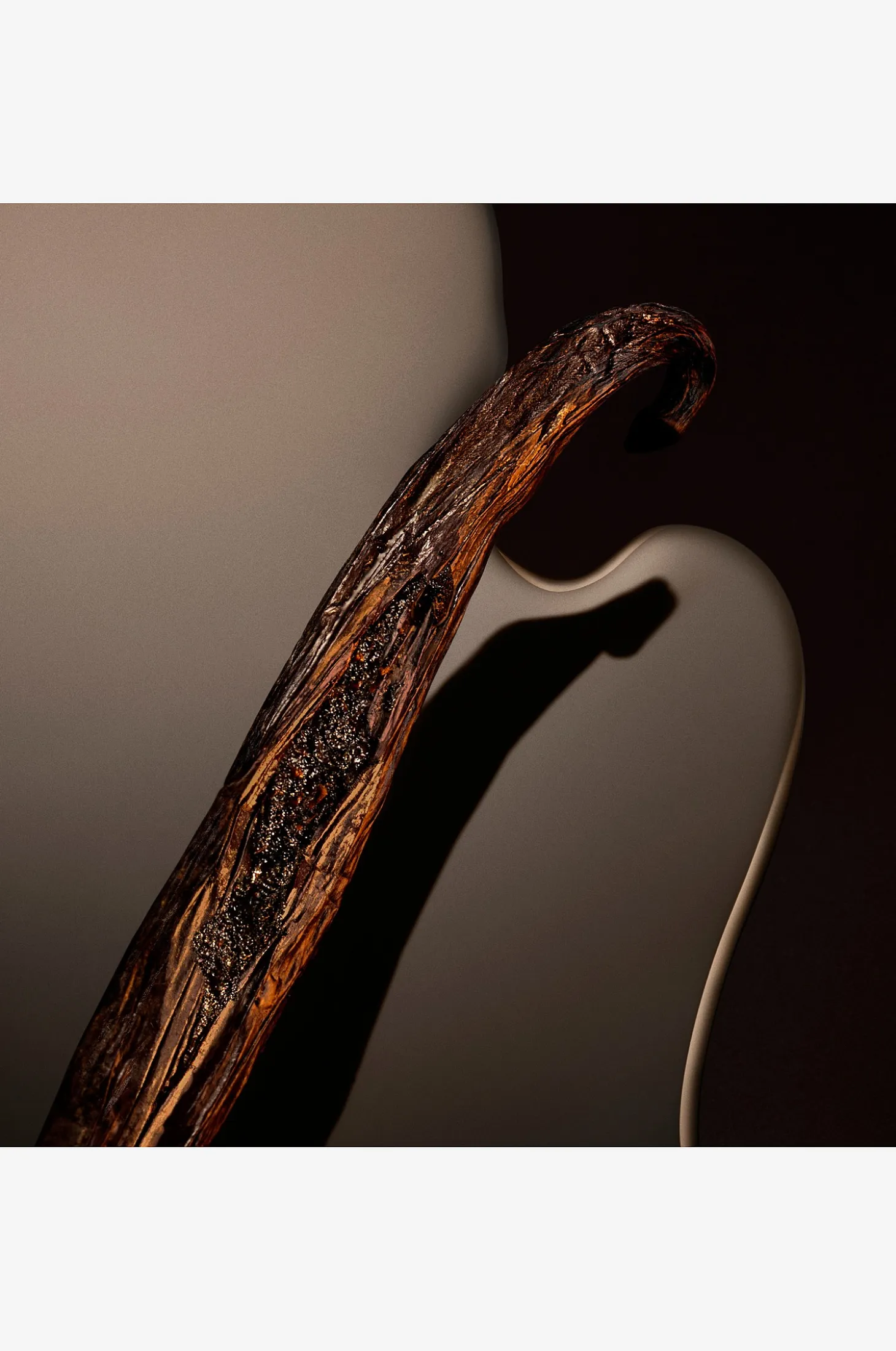 The Scent Magnetic Edp