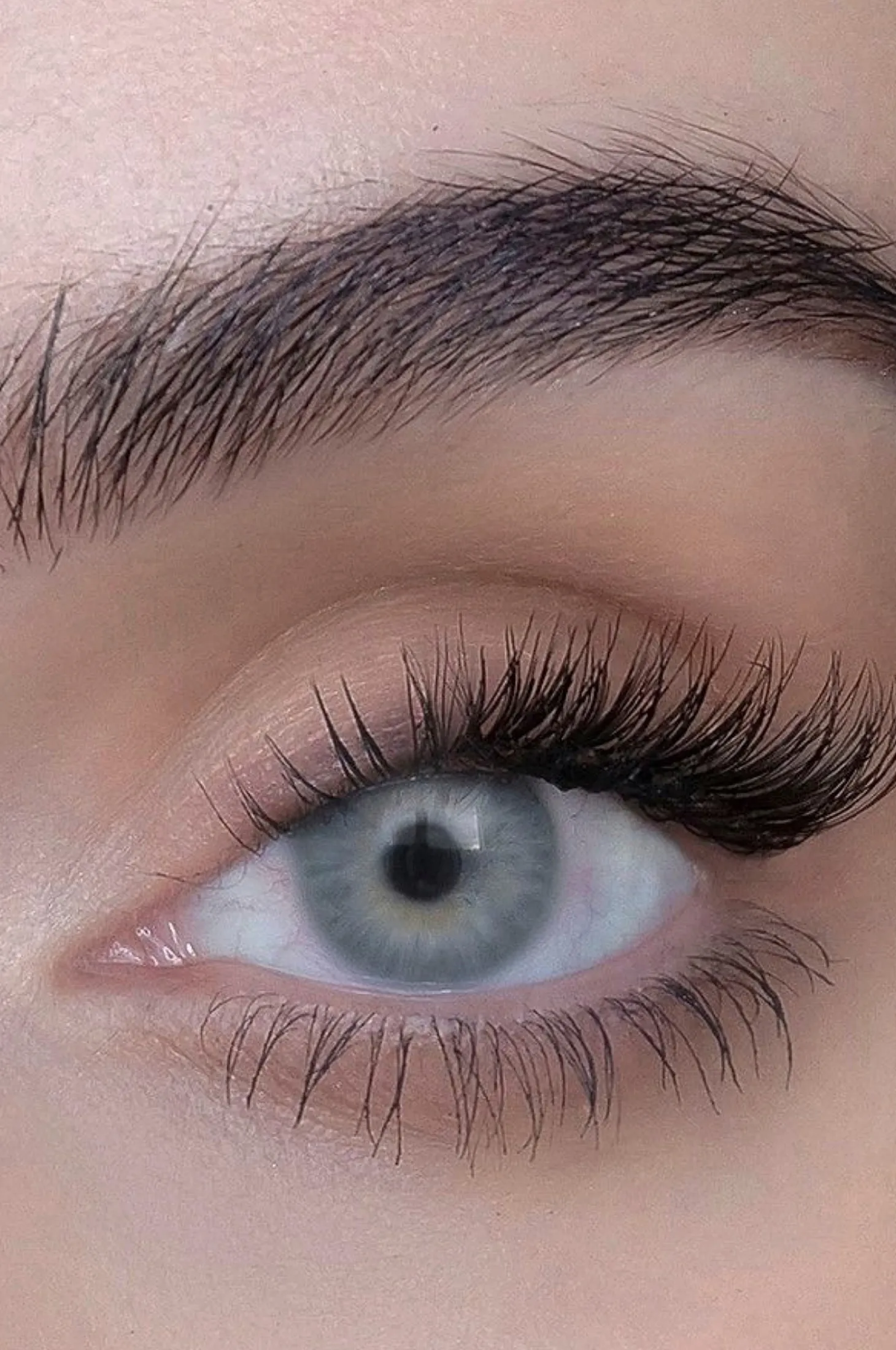 Tête à Tête