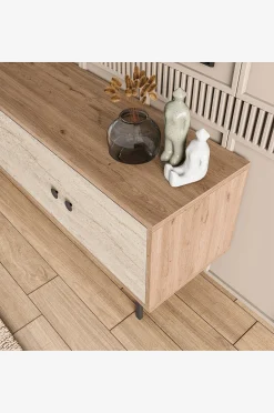 TV-penkki Dino