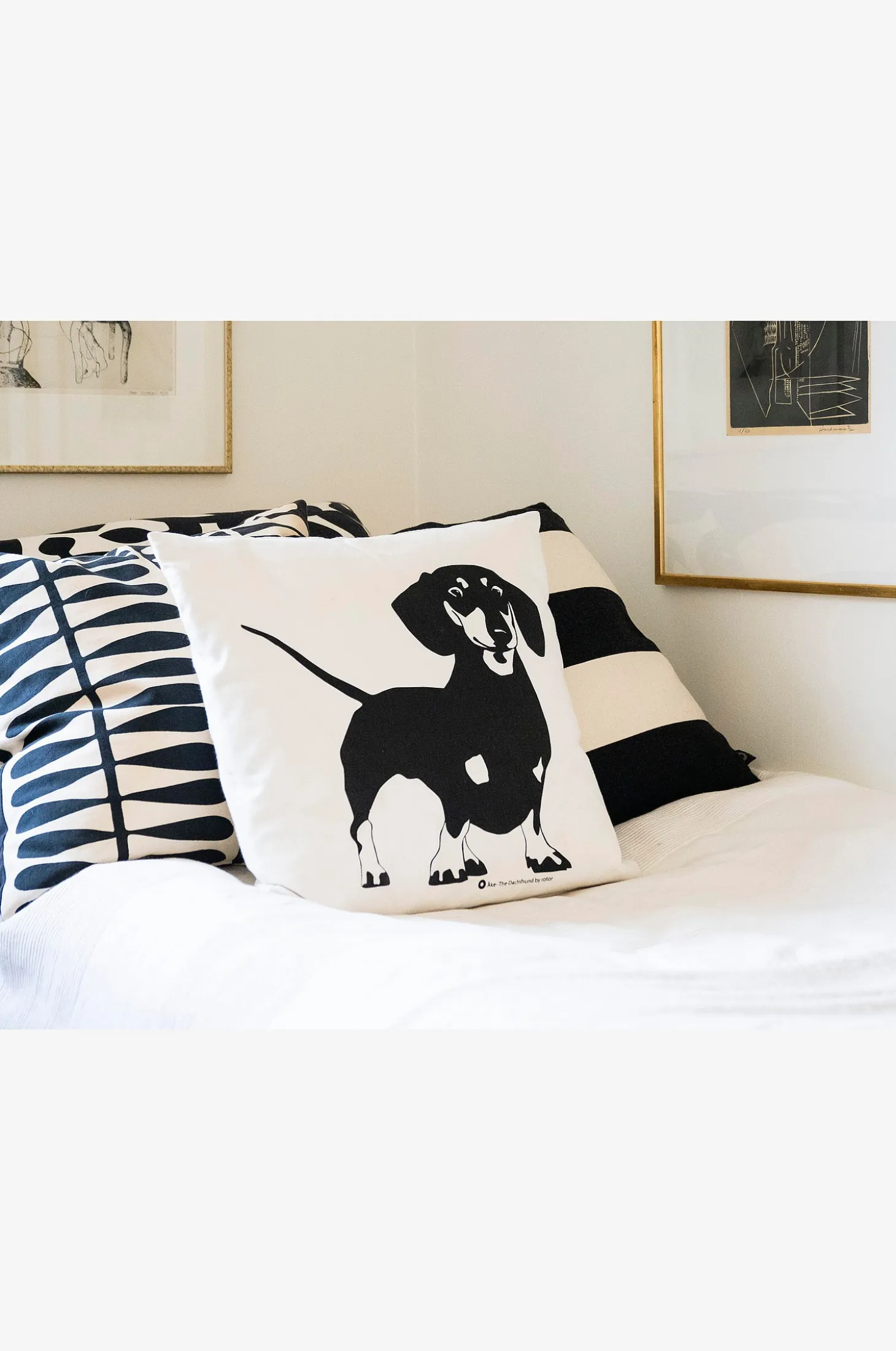 Tyynynpäällinen Åke