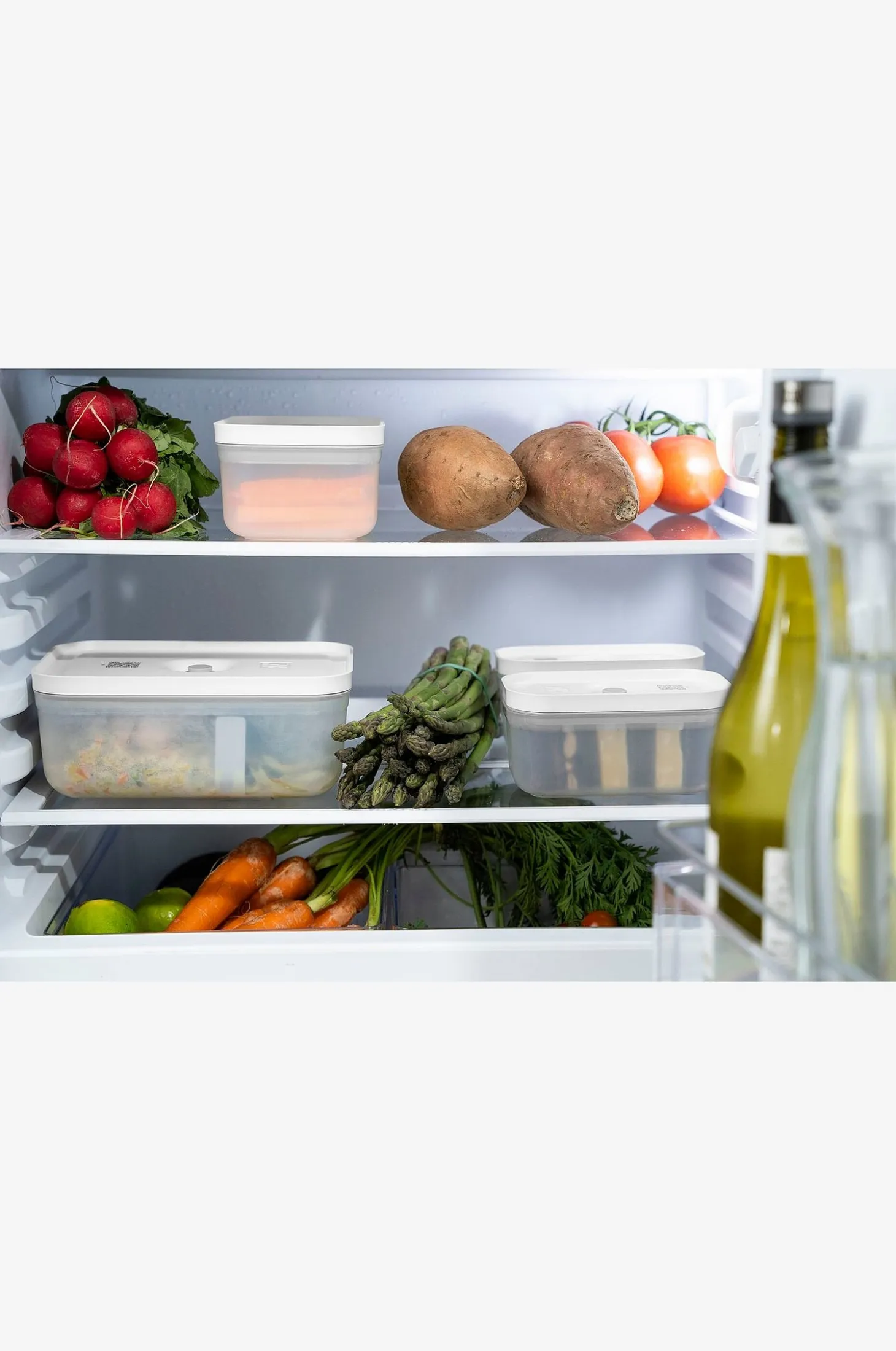 Vakuumbox Fresh & Save M